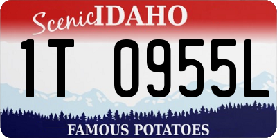 ID license plate 1T0955L