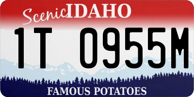ID license plate 1T0955M