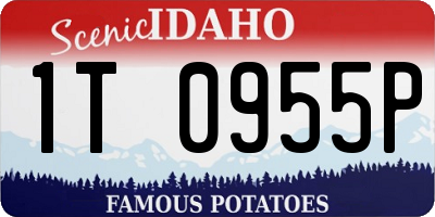 ID license plate 1T0955P