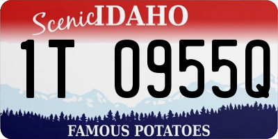 ID license plate 1T0955Q