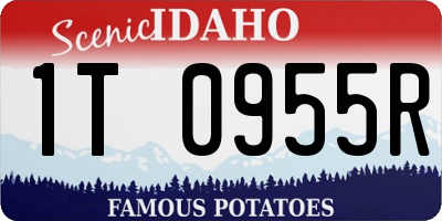 ID license plate 1T0955R
