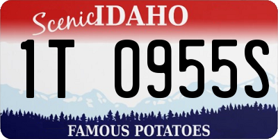 ID license plate 1T0955S