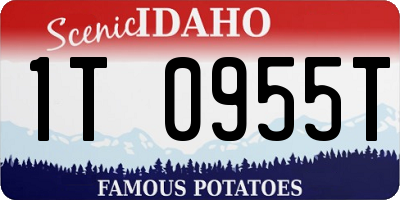 ID license plate 1T0955T