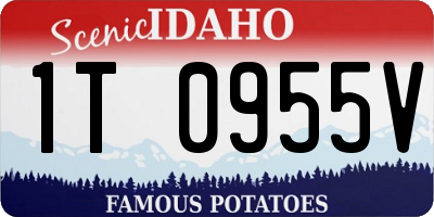 ID license plate 1T0955V