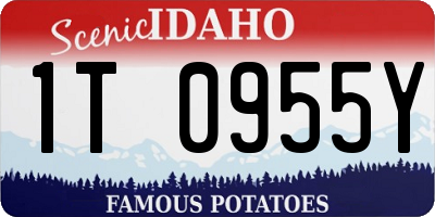 ID license plate 1T0955Y