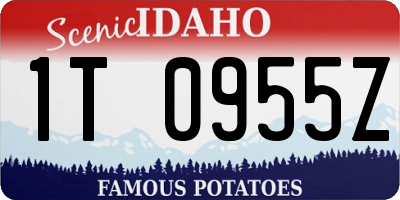 ID license plate 1T0955Z
