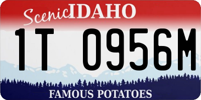 ID license plate 1T0956M