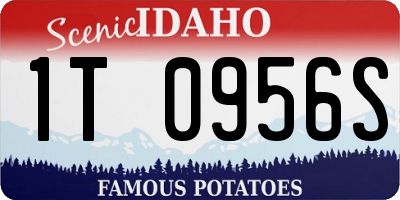 ID license plate 1T0956S