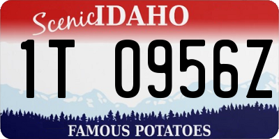 ID license plate 1T0956Z