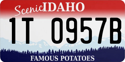 ID license plate 1T0957B
