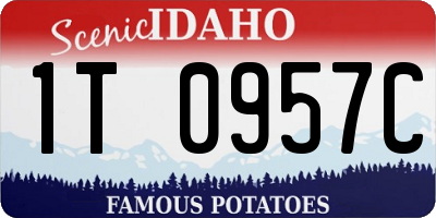 ID license plate 1T0957C