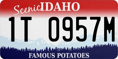 ID license plate 1T0957M