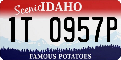 ID license plate 1T0957P