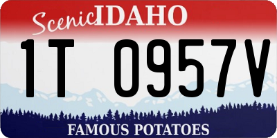 ID license plate 1T0957V