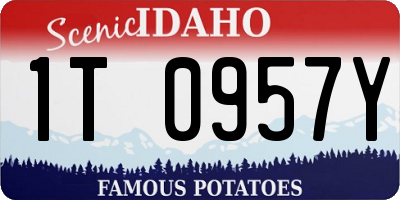 ID license plate 1T0957Y