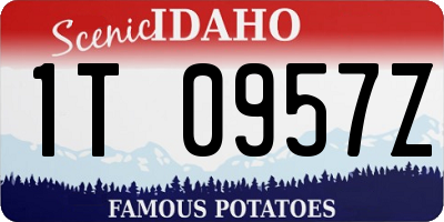 ID license plate 1T0957Z
