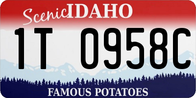 ID license plate 1T0958C