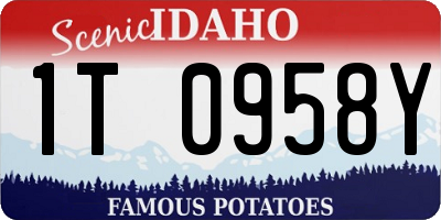 ID license plate 1T0958Y