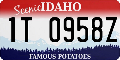 ID license plate 1T0958Z