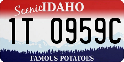 ID license plate 1T0959C