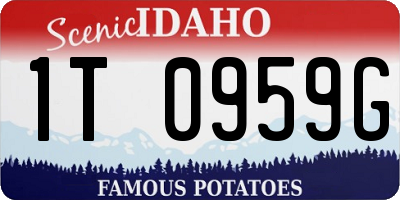 ID license plate 1T0959G