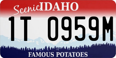 ID license plate 1T0959M