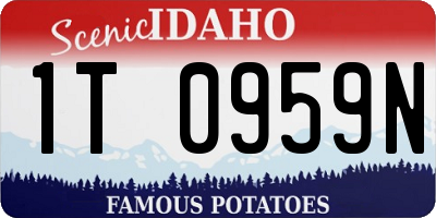 ID license plate 1T0959N