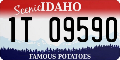 ID license plate 1T0959O