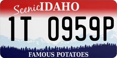 ID license plate 1T0959P