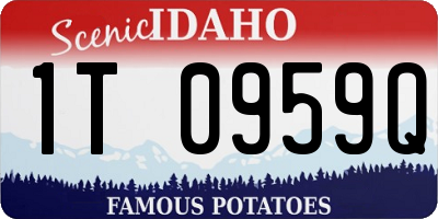 ID license plate 1T0959Q