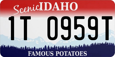 ID license plate 1T0959T