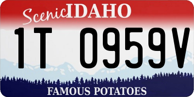 ID license plate 1T0959V