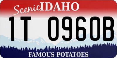 ID license plate 1T0960B