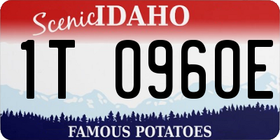 ID license plate 1T0960E
