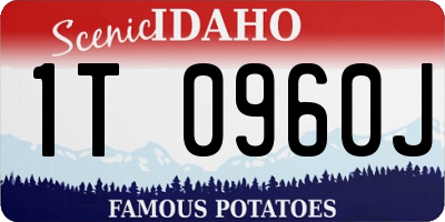 ID license plate 1T0960J