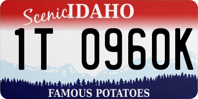 ID license plate 1T0960K