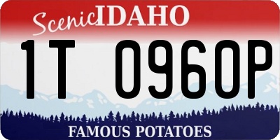 ID license plate 1T0960P