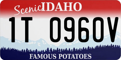 ID license plate 1T0960V