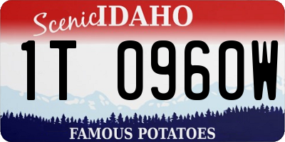 ID license plate 1T0960W