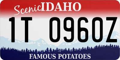 ID license plate 1T0960Z