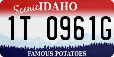 ID license plate 1T0961G