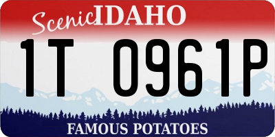 ID license plate 1T0961P