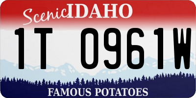 ID license plate 1T0961W