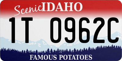 ID license plate 1T0962C