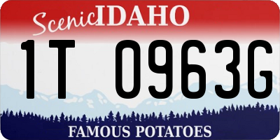 ID license plate 1T0963G