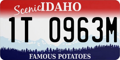ID license plate 1T0963M