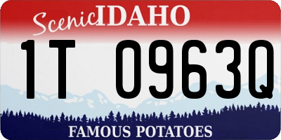 ID license plate 1T0963Q