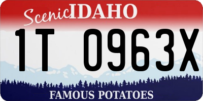 ID license plate 1T0963X