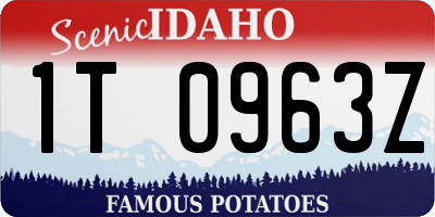 ID license plate 1T0963Z