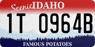 ID license plate 1T0964B
